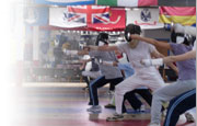 Image of fencing